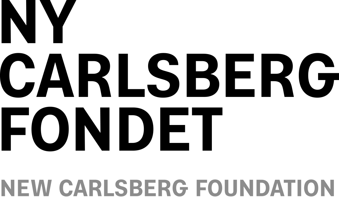 New Carlsberg foundation (1)