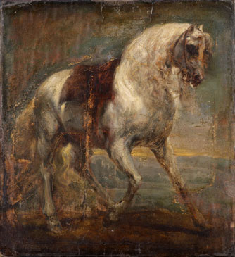 A Grey Horse