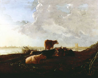 Cattle near a River