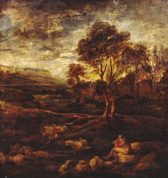 Evening Landscape